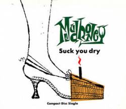 Mudhoney : Suck You Dry - Deception Pass